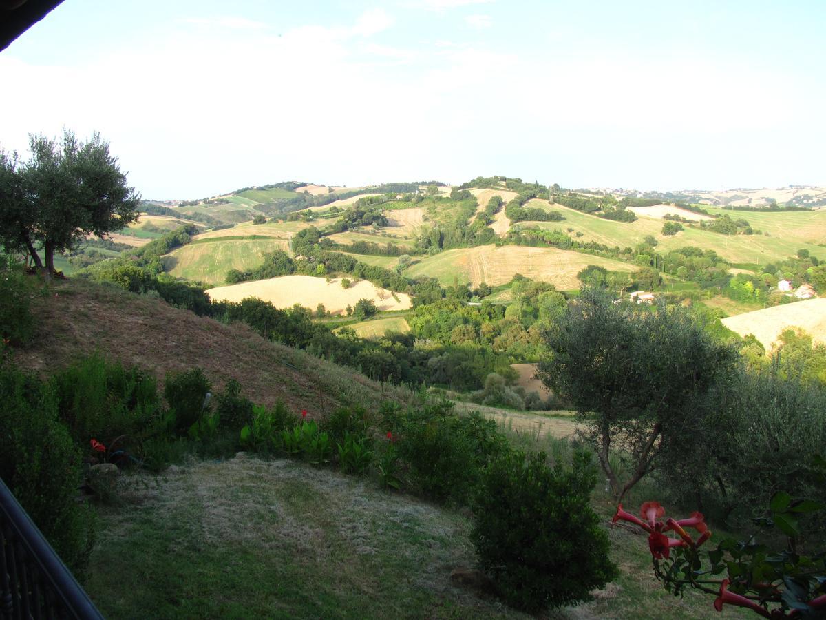 Bed and Breakfast Agriturismo Bacchiocchi à Orciano di Pesaro Extérieur photo